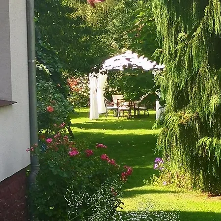Family Garden & Sauna *