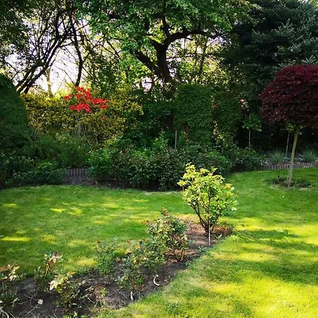 Family Garden & Sauna Daire Krakow